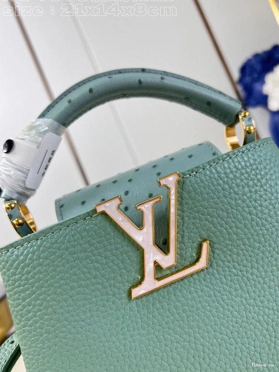 Affordable LOUIS VUITTON MINI-22*12*8CM CAPUCINES 0718